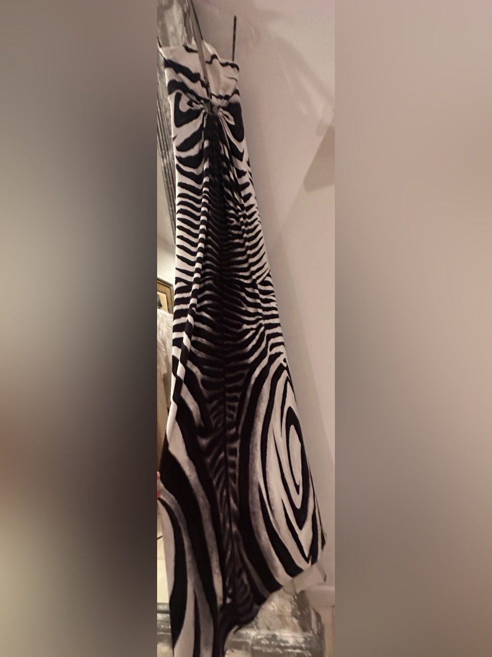 Sky Black and White Zebra Print Maxi Dress
